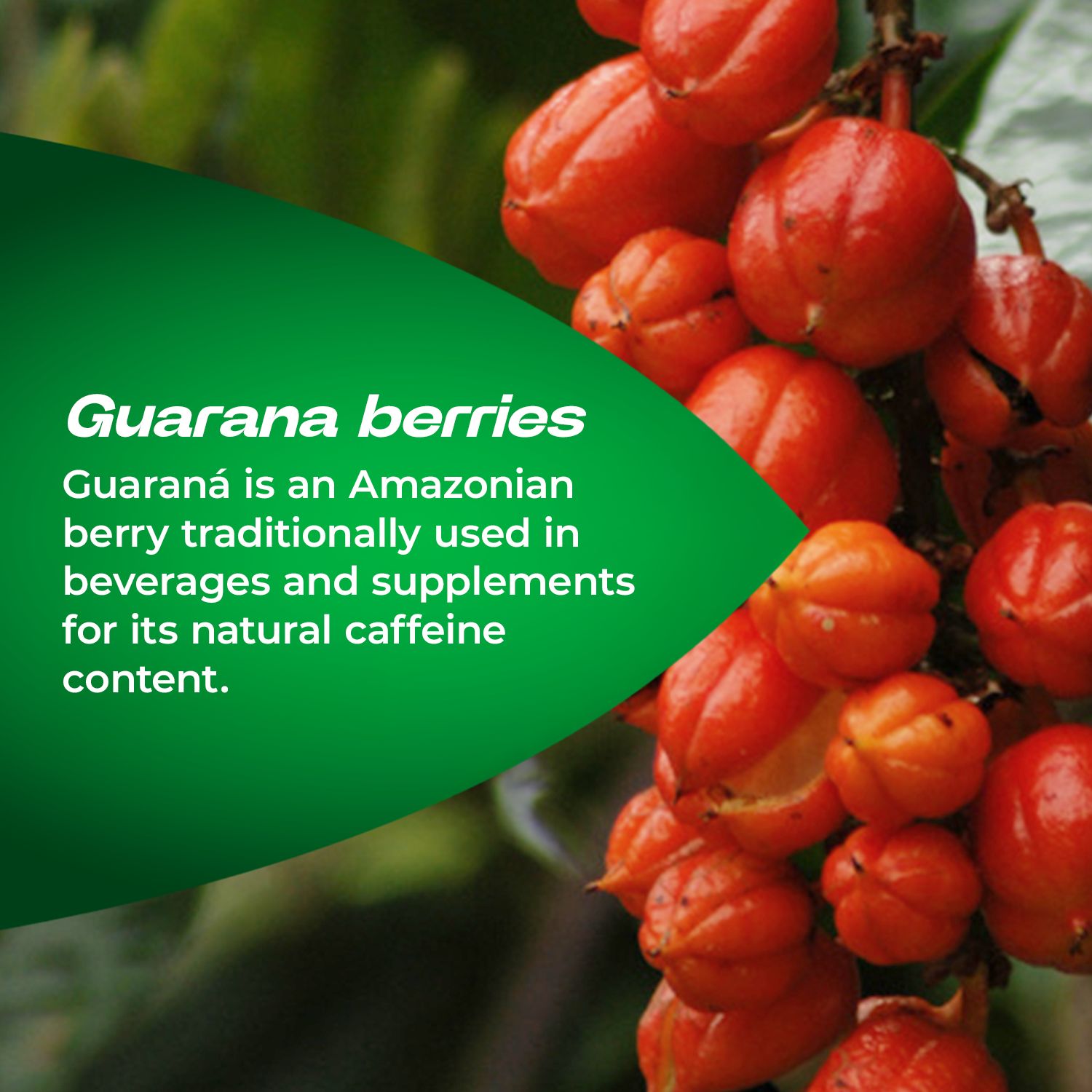 berocca-boost-effervescent-tablets-image-5